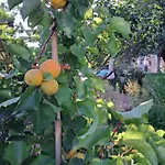 La Casa Di Bel Сasa de vacaciones