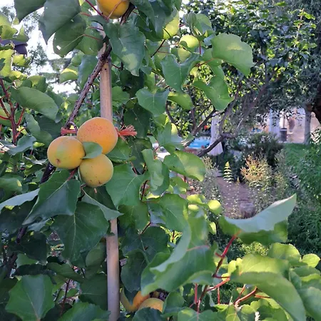 La Casa Di Bel Nyaraló