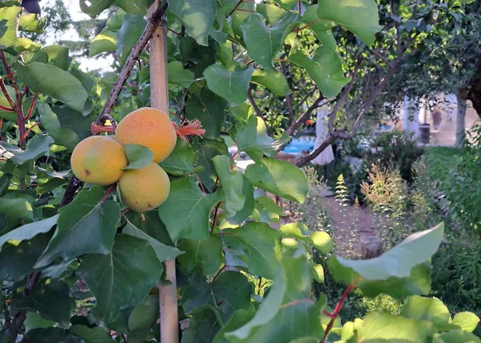 La Casa Di Bel Сasa de vacaciones